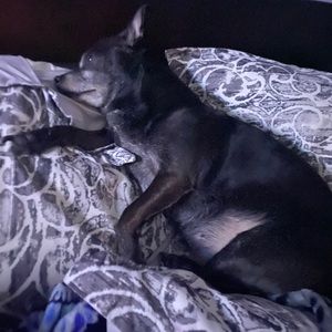 Meet your Posher, Stephen